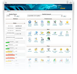 cpanel web hosting